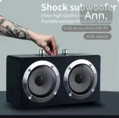 Wireless Subwoofer Speakers PraticoTech